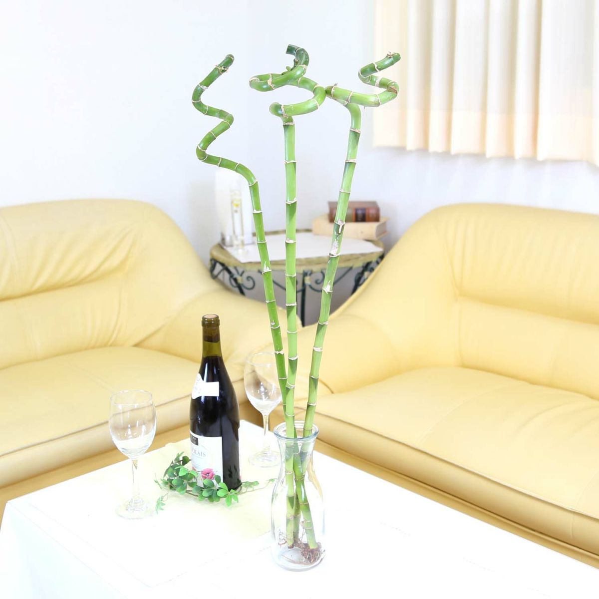 ミリオンバンブー（スパイラル 約70cm）3本セット