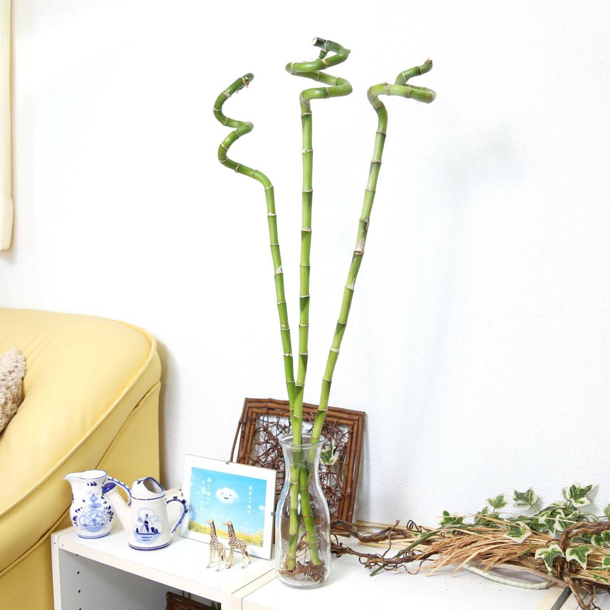 ミリオンバンブー（スパイラル 約70cm）3本セット