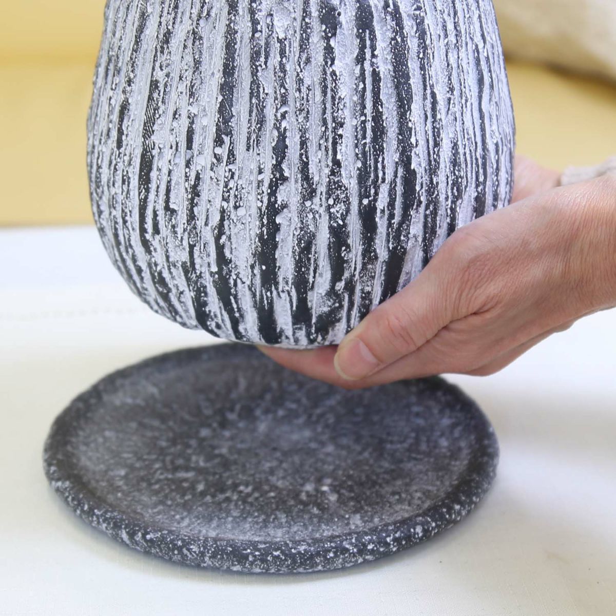 サンスベリア 5号 セメント鉢 