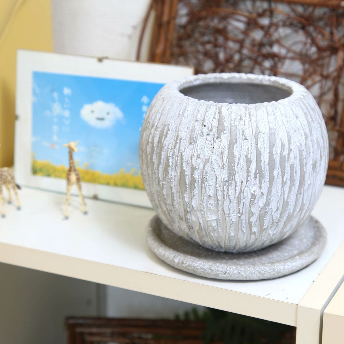 ホワイトグレー・セメント鉢 丸形