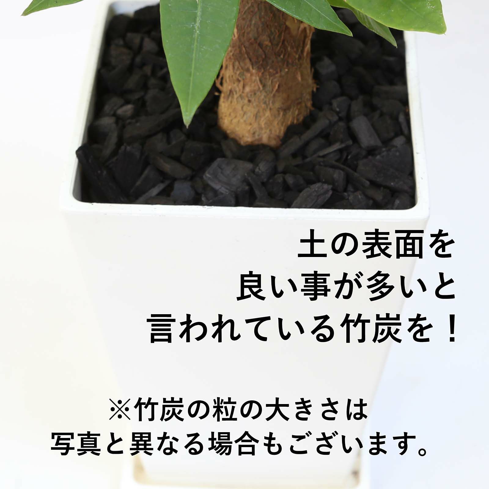 竹炭タイプ