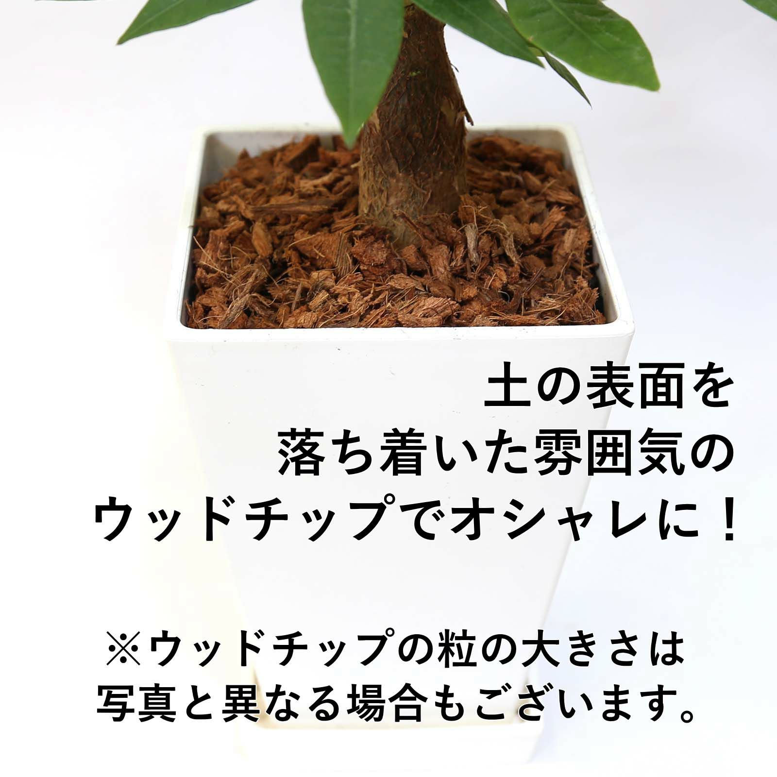 ウッドチップタイプ